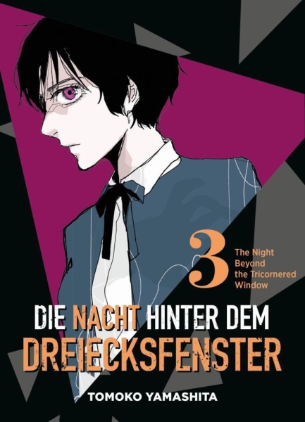 Die Nacht hinter dem Dreiecksfenster 3